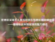 世界杯买球怎么算钱如何在世界杯期间赚到钱——揭秘如何利用足球的魅力赚钱
