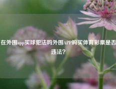 在外围app买球犯法吗外围APP购买体育彩票是否违法？