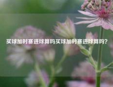 买球加时赛进球算吗买球加时赛进球算吗？