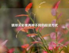 猜球买彩票两种不同的投资方式