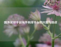 国外买球平台海外购球平台的兴起与挑战