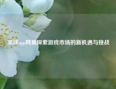 买球app网易探索游戏市场的新机遇与挑战