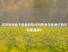 买球到底能不能盈利如何判断是否能通过购买彩票盈利？
