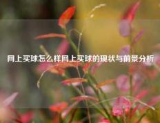 网上买球怎么样网上买球的现状与前景分析