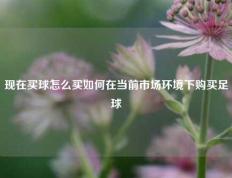现在买球怎么买如何在当前市场环境下购买足球