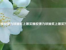 橡胶弹力球抽奖上哪买橡胶弹力球抽奖上哪买？