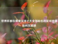 世界杯都在哪里买球十大全球知名的足球市场和购买渠道
