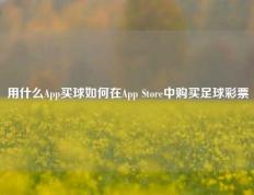 用什么App买球如何在App Store中购买足球彩票