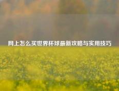 网上怎么买世界杯球最新攻略与实用技巧