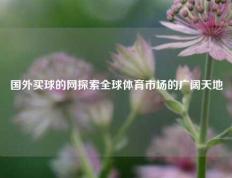 国外买球的网探索全球体育市场的广阔天地