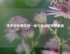 天天中彩票买球一场与幸运的奇妙邂逅