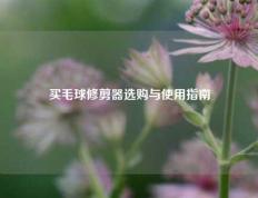 买毛球修剪器选购与使用指南