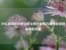 什么买球软件好点优化用户体验与提升投资回报率的关键