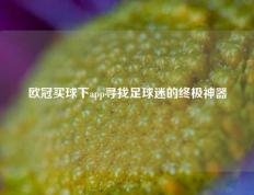 欧冠买球下app寻找足球迷的终极神器