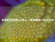 欧洲杯买球逃hh12电vip一场场激动人心的对决