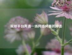 买球平台奔溃一场网络风暴的冲击