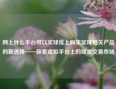 网上什么平台可以买球线上购买足球相关产品的新选择——探索虚拟平台上的球类交易市场