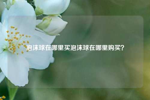 泡沫球在哪里买泡沫球在哪里购买？