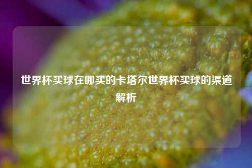 世界杯买球在哪买的卡塔尔世界杯买球的渠道解析