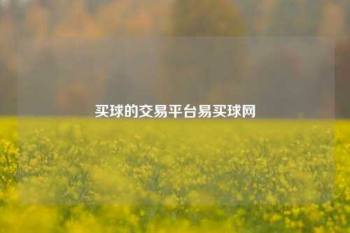 买球的交易平台易买球网