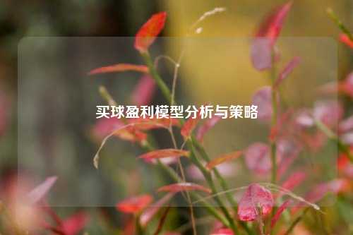 买球盈利模型分析与策略
