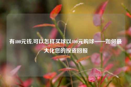 有400元钱,可以怎样买球以400元购球——如何最大化您的投资回报