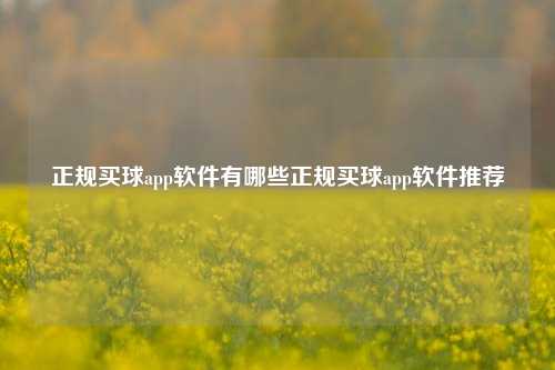 正规买球app软件有哪些正规买球app软件推荐