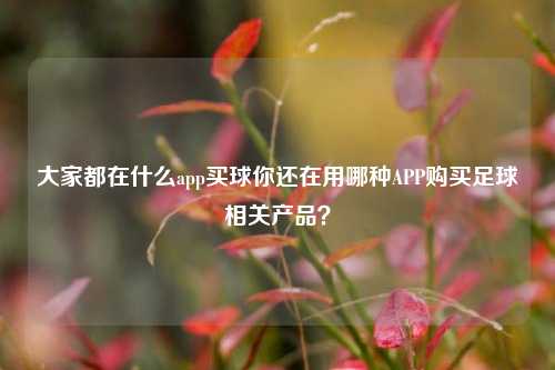 大家都在什么app买球你还在用哪种APP购买足球相关产品？