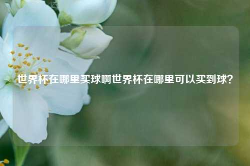 世界杯在哪里买球啊世界杯在哪里可以买到球？