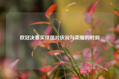 欧冠决赛买球图片庆祝与荣耀的时刻