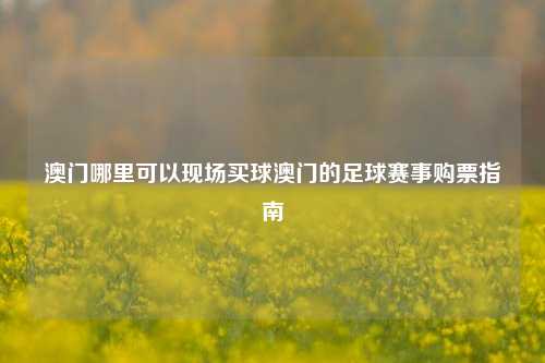 澳门哪里可以现场买球澳门的足球赛事购票指南