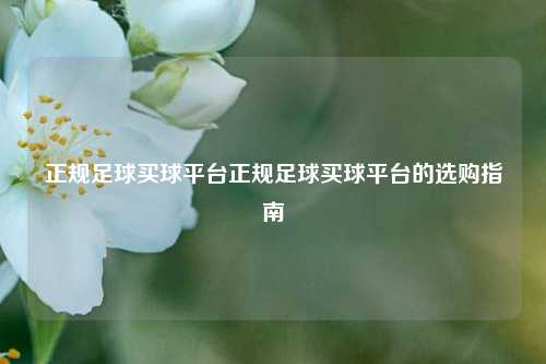 正规足球买球平台正规足球买球平台的选购指南