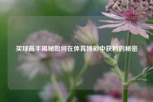买球高手揭秘如何在体育博彩中获利的秘密