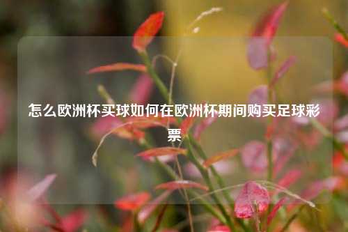 怎么欧洲杯买球如何在欧洲杯期间购买足球彩票