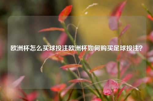 欧洲杯怎么买球投注欧洲杯如何购买足球投注？