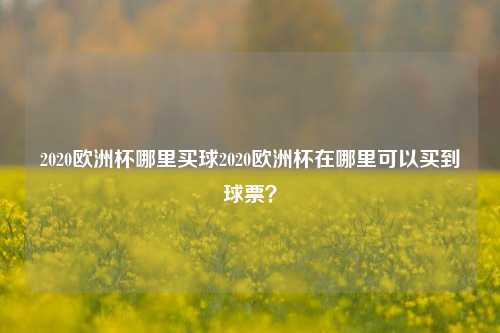 2020欧洲杯哪里买球2020欧洲杯在哪里可以买到球票？