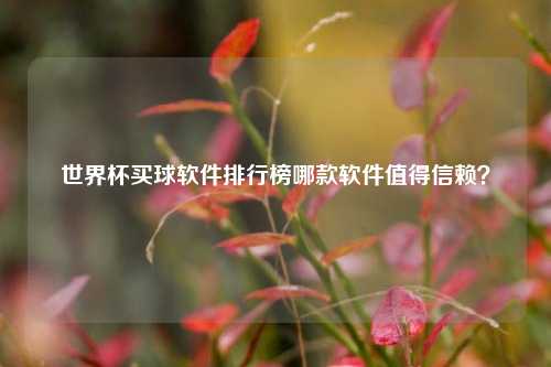 世界杯买球软件排行榜哪款软件值得信赖？