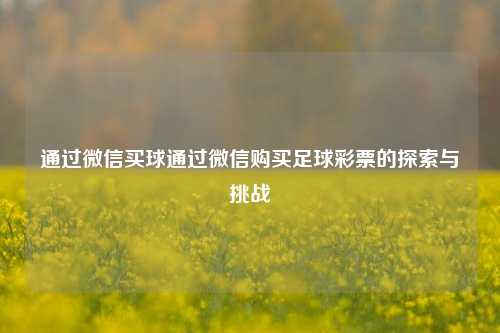 通过微信买球通过微信购买足球彩票的探索与挑战