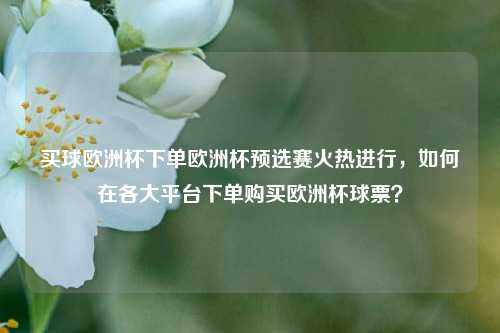 买球欧洲杯下单欧洲杯预选赛火热进行，如何在各大平台下单购买欧洲杯球票？