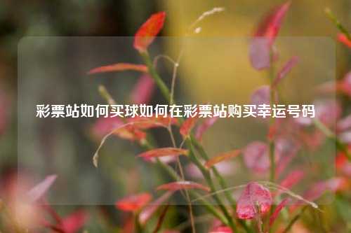 彩票站如何买球如何在彩票站购买幸运号码