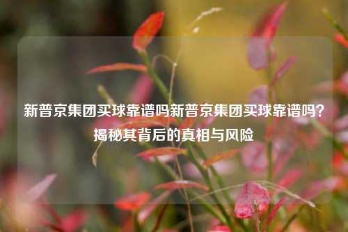 新普京集团买球靠谱吗新普京集团买球靠谱吗？揭秘其背后的真相与风险