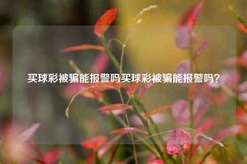 买球彩被骗能报警吗买球彩被骗能报警吗？