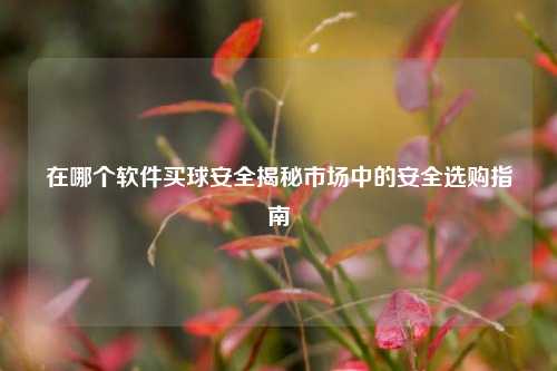 在哪个软件买球安全揭秘市场中的安全选购指南