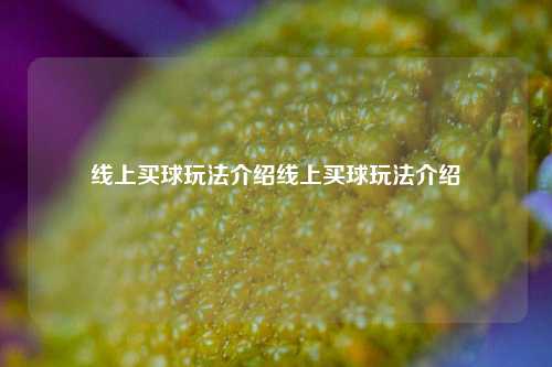 线上买球玩法介绍线上买球玩法介绍