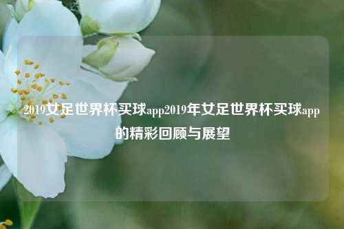 2019女足世界杯买球app2019年女足世界杯买球app的精彩回顾与展望