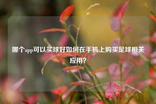哪个app可以买球好如何在手机上购买足球相关应用？