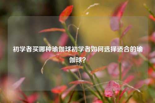 初学者买哪种瑜伽球初学者如何选择适合的瑜伽球？
