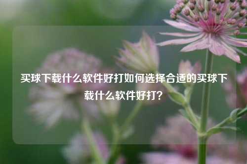 买球下载什么软件好打如何选择合适的买球下载什么软件好打？