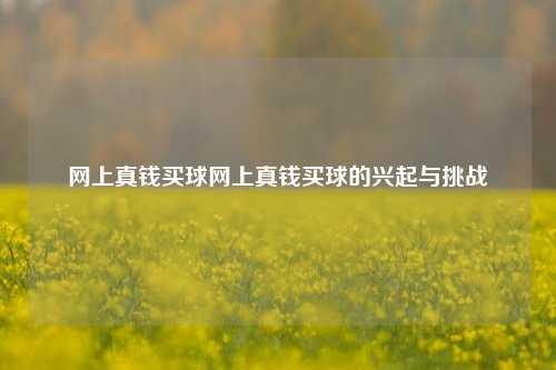 网上真钱买球网上真钱买球的兴起与挑战