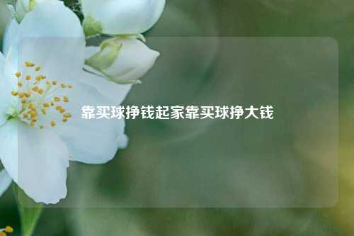 靠买球挣钱起家靠买球挣大钱
